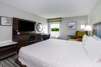 Room, 1 King Bed, Lake View