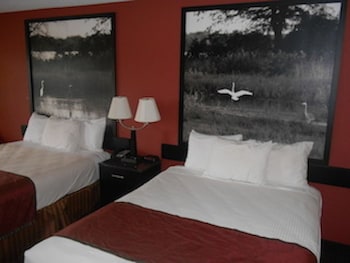 Standard Room, 2 Queen Beds