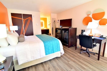 Room, 1 King Bed, Non Smoking