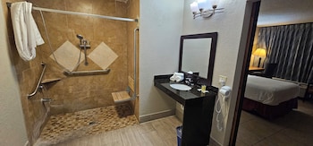 Room, 1 King Bed, Accessible, Non Smoking (Mobility,Hearing,Roll-In Shower)