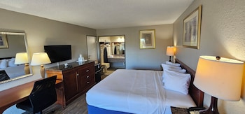 Room, 1 King Bed, Non Smoking (Third Floor)