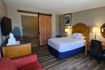 Room, 1 King Bed, Accessible, Non Smoking (Mobility,Hearing,Roll-In Shower)