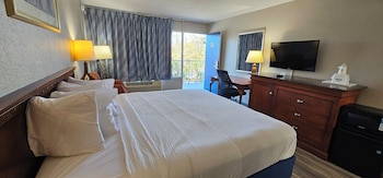 Room, 1 King Bed, Non Smoking (Third Floor)