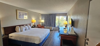 Room, 1 King Bed, Accessible, Non Smoking (Mobility,Hearing,Roll-In Shower)