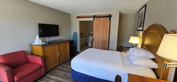 Room, 1 King Bed, Accessible, Non Smoking (Mobility,Hearing,Roll-In Shower)