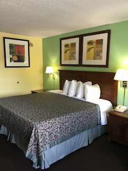 Room, 1 King Bed