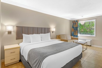 Single Room, 1 King Bed with Sofa bed, Non Smoking, Pool View