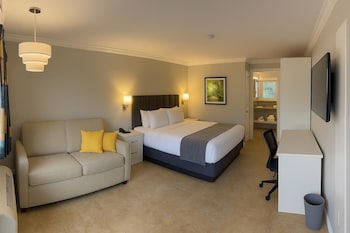 Single Room, 1 King Bed with Sofa bed, Non Smoking, Pool View