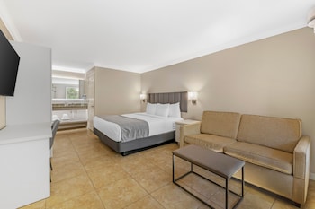 Single Room, 1 King Bed with Sofa bed, Non Smoking, Pool View