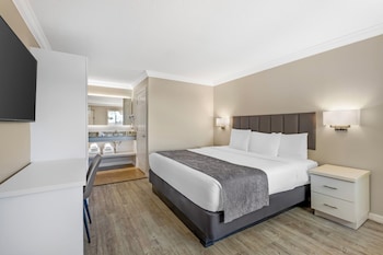Single Room, 1 King Bed, Non Smoking