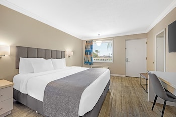 Single Room, 1 King Bed, Non Smoking