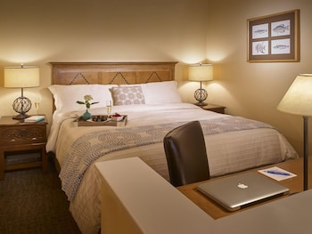 Standard Suite, 1 Queen Bed with Sofabed, Standard View