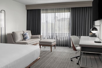 Room, 1 King Bed with Sofa bed