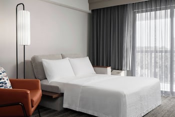Room, 1 King Bed with Sofa bed