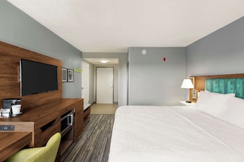 Room, 1 King Bed, Accessible