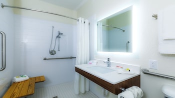 Standard Room, 1 Queen Bed, Accessible (Comm, Roll-In Shower)