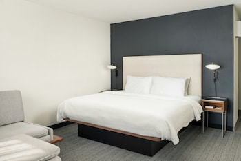 Room, 1 King Bed with Sofa bed