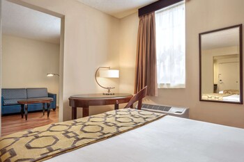 Room, 1 King Bed, Non Smoking