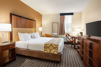 Room, 1 King Bed, Non Smoking