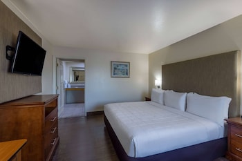 Room, 1 King Bed, Accessible, Non Smoking (Mobility Accessible)