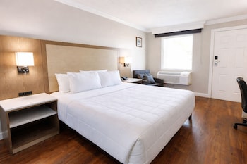 1 King Size Bed, Non Smoking