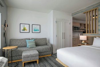 Studio, 1 King Bed with Sofa bed