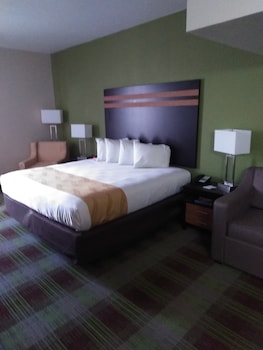Room, 1 King Bed, Non Smoking