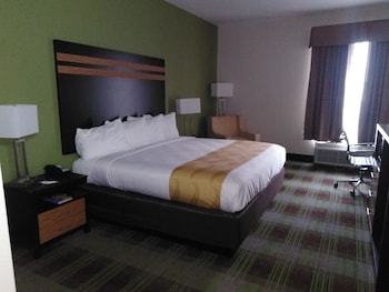 Standard Room, 1 King Bed, Non Smoking