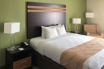 Room, 1 King Bed, Non Smoking