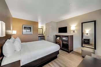 Standard Room, 1 King Bed