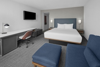 Room, 1 King Bed with Sofa bed, Hearing Accessible
