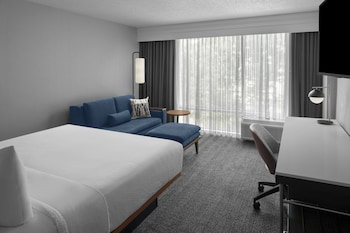 Room, 1 King Bed with Sofa bed, Hearing Accessible