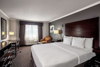 Room, 1 King Bed, Non Smoking, Pool View