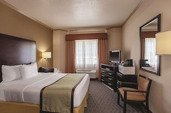 Room, 1 Queen Bed, Accessible, Park View (Mobility/Hearing Impaired Accessible)