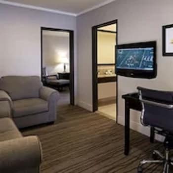 Junior Suite, 1 King Bed, Non Smoking