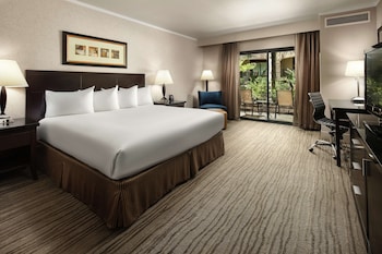 Large One King Bed Non-Smoking