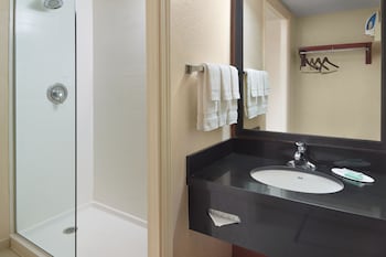 Room, 1 King Bed