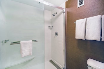 Room, 1 King Bed, Roll-in Shower