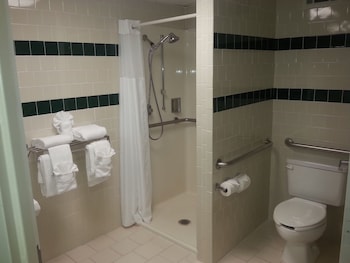 Standard Single Room (Single Double Bed Handicap No View)