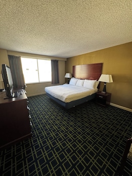Standard Single Room, City View (Single King City View)