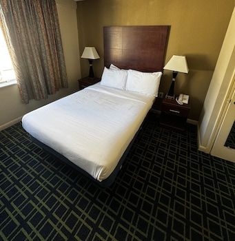 Standard Single Room (Single Double Bed Handicap No View)