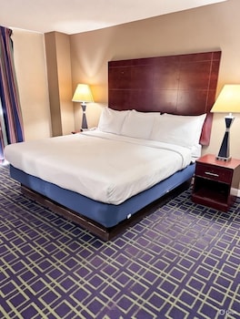 Standard Single Room, City View (Single King City View)