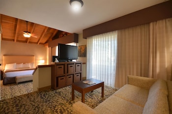 Suite, 1 King Bed with Sofa bed, Non Smoking, Kitchenette (with Sofabed)