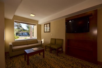 Standard Room, 1 King Bed, Accessible, Bathtub