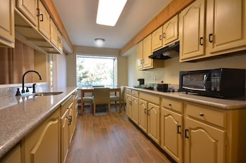 Suite, 1 King Bed with Sofa bed, Non Smoking, Kitchenette (with Sofabed)