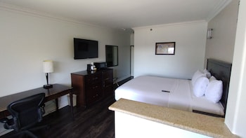 Studio Suite, 1 King Bed, Non Smoking