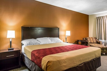 Room, 1 King Bed, Accessible, Non Smoking (Mobility Accessible)