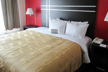 Suite, 1 King Bed with Sofa bed, Accessible, Non Smoking