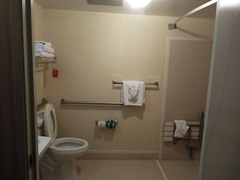 Suite, 1 King Bed with Sofa bed, Accessible, Non Smoking