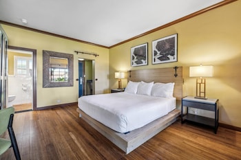 Room, 1 King Bed, Non Smoking